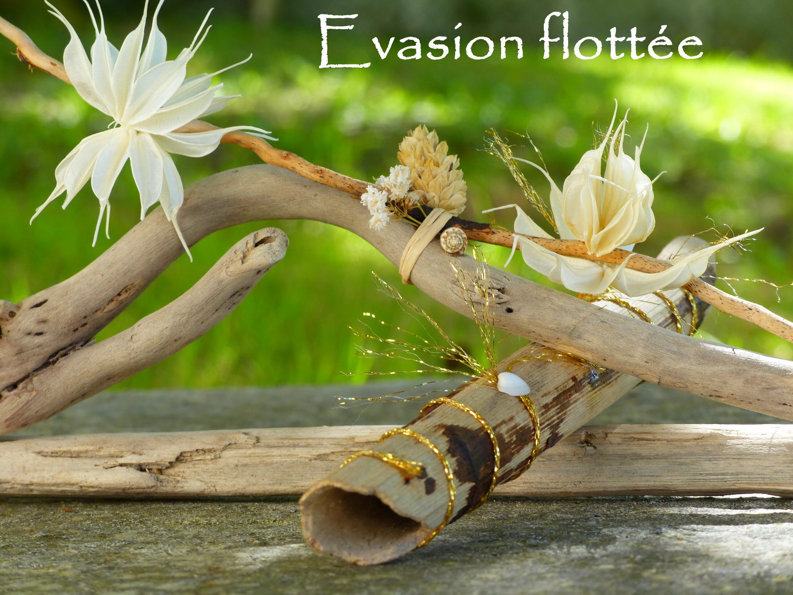 Evasion Flottée